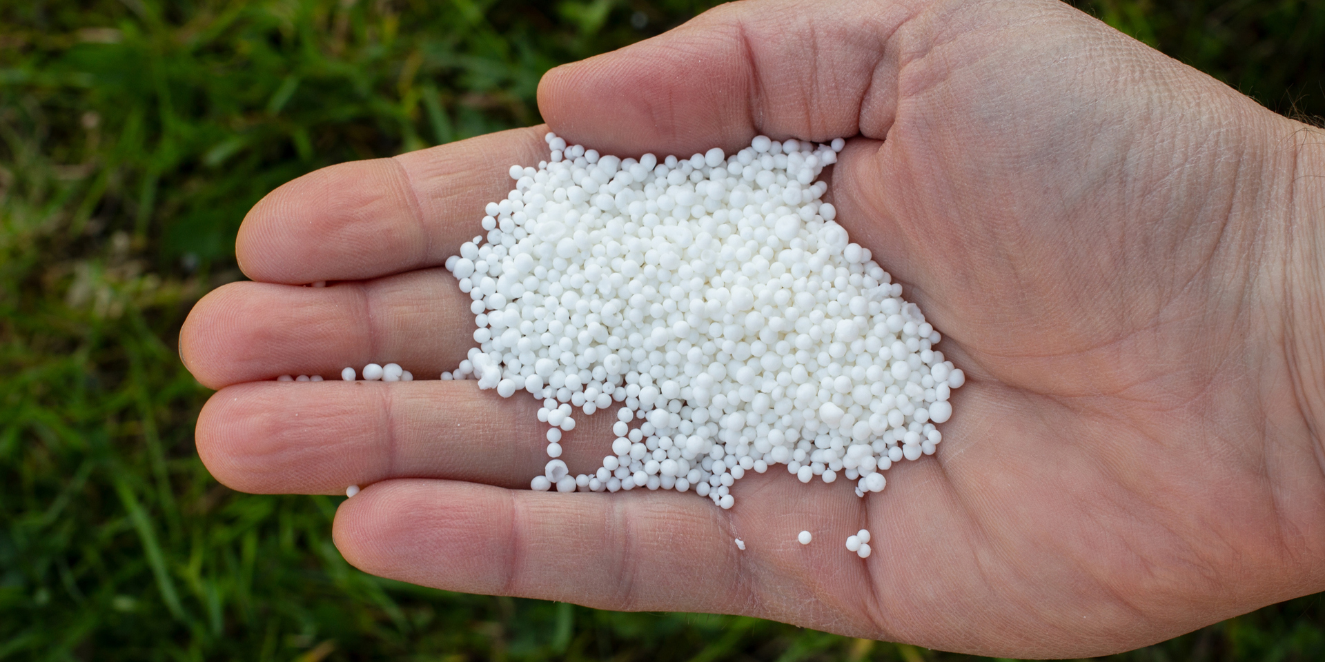 EIG - engineeringforløb - fra urin til struvit