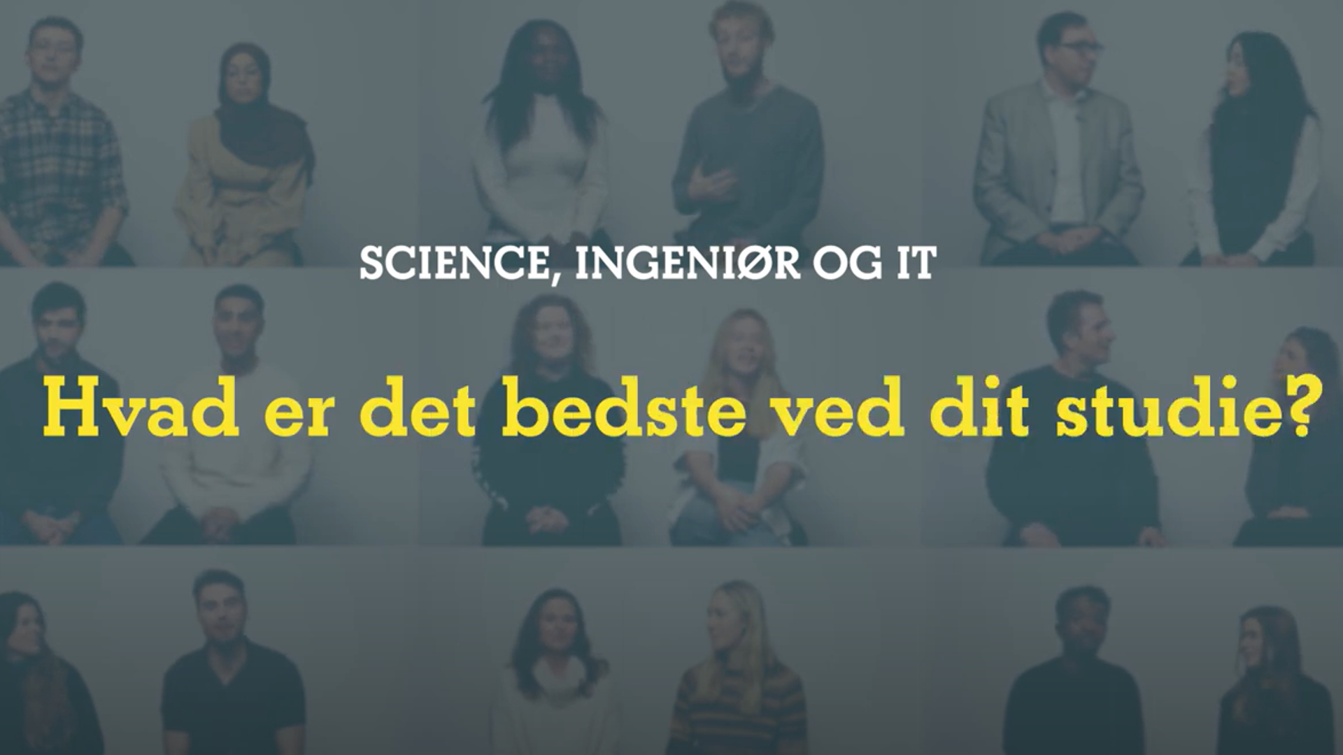 Hvad er det bedste ved dit studie?
