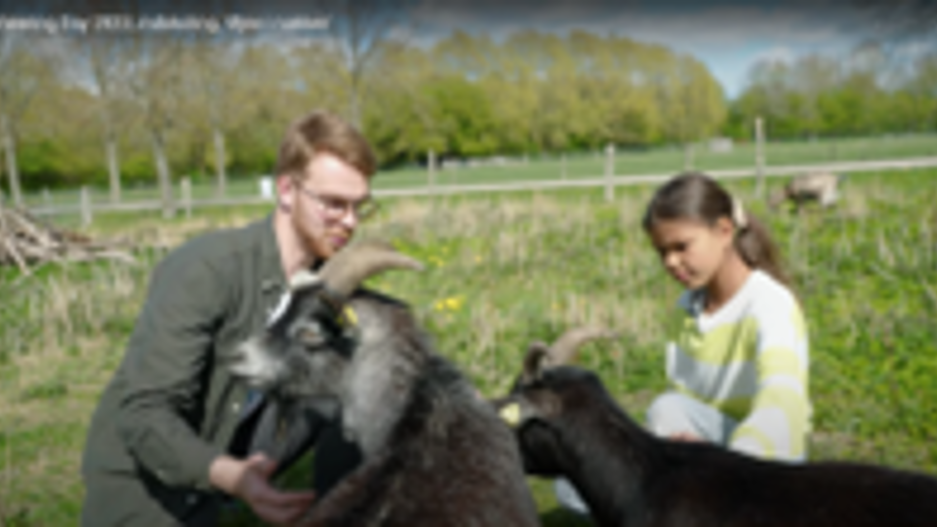 Indskoling, Øjne i nakken