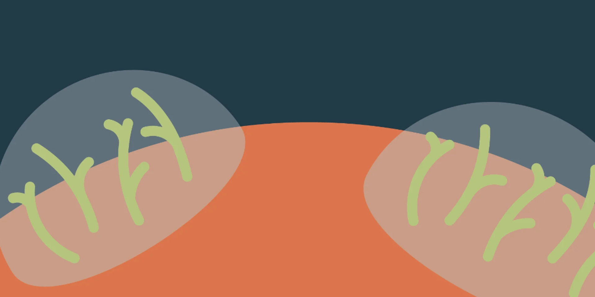 Dyrk Planter På Mars