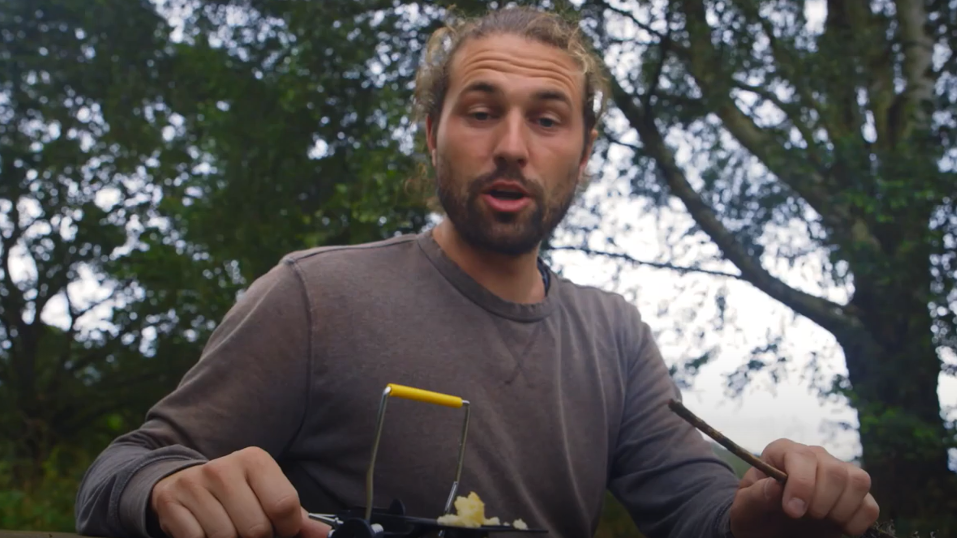 Rødmus: Fang musen-E-Day2020